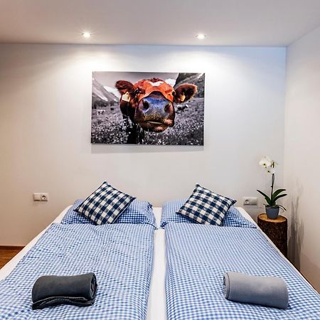 查贡斯Haus Silvretta Nova公寓 外观 照片